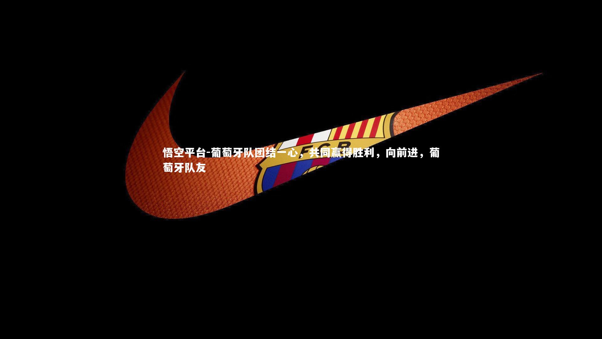 葡萄牙队团结一心，共同赢得胜利，向前进，葡萄牙队友