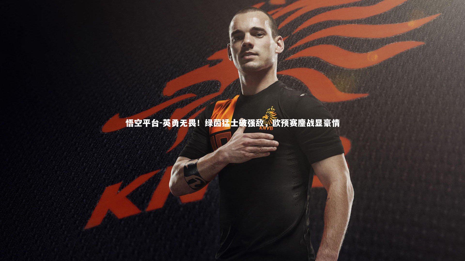 英勇无畏！绿茵猛士破强敌，欧预赛鏖战显豪情